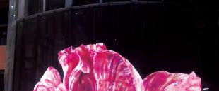 led屏為什么會流行起來？都有什么特點(diǎn)？